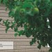 Сайдинг Ю-Пласт TIMBERBLOCK Пихта (Тимберблок) Cахалинская купить в Бийске