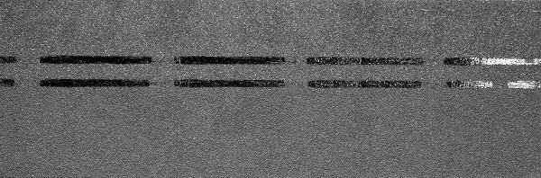 Коньково-карнизная черепица Docke Premium, черника купить в Бийске